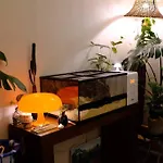 The Chill House 2